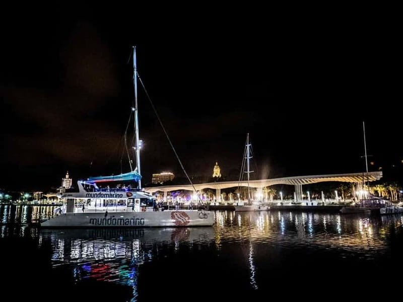Malaga: Catamaran Sunset or Night Cruise w/ Live DJ & Drink - Dolphins are a bonus, not the plan