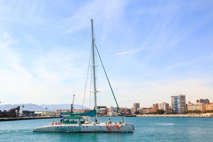 Malaga: Sailing Catamaran with Swimming and Paella Lunch - A simple paella lunch on the return route