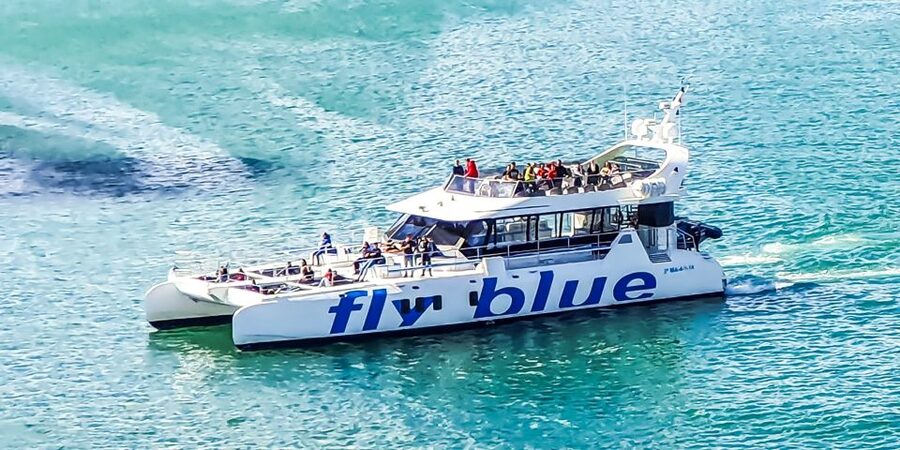 Málaga: Scenic Catamaran Cruise - Should you book the Málaga catamaran cruise?