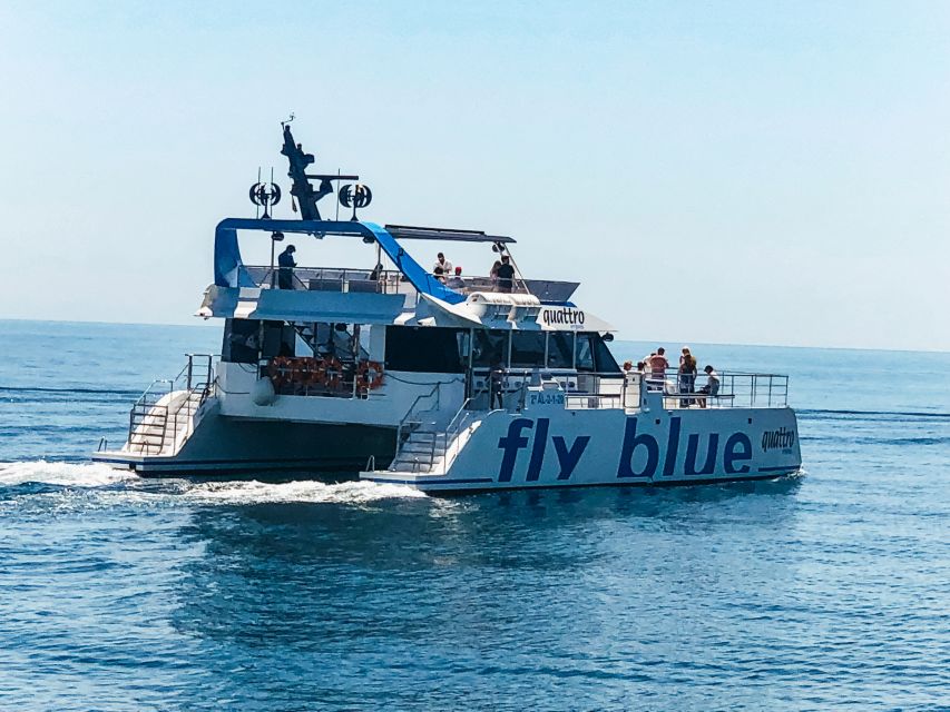 Málaga: Scenic Catamaran Cruise - Is swimming part of the cruise?