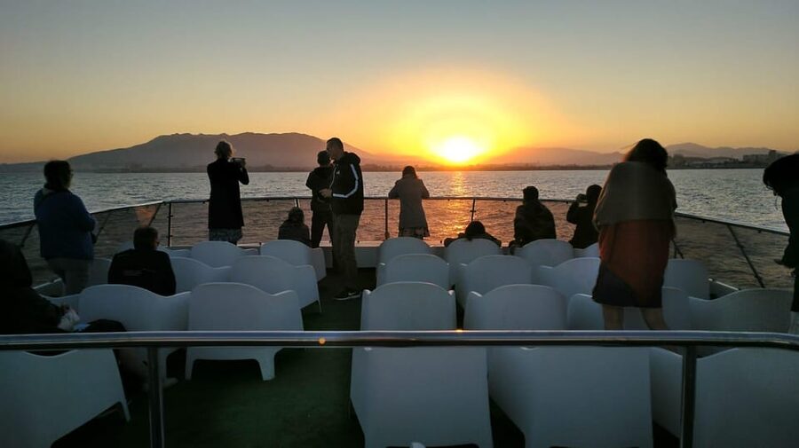 Málaga: Sunset Catamaran Trip - Dolphins are possible, but not promised