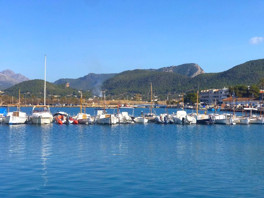 Mallorca: Coastal Cruise to Port of Andratx with swim stop - A half-day on Mallorca’s southwest coast