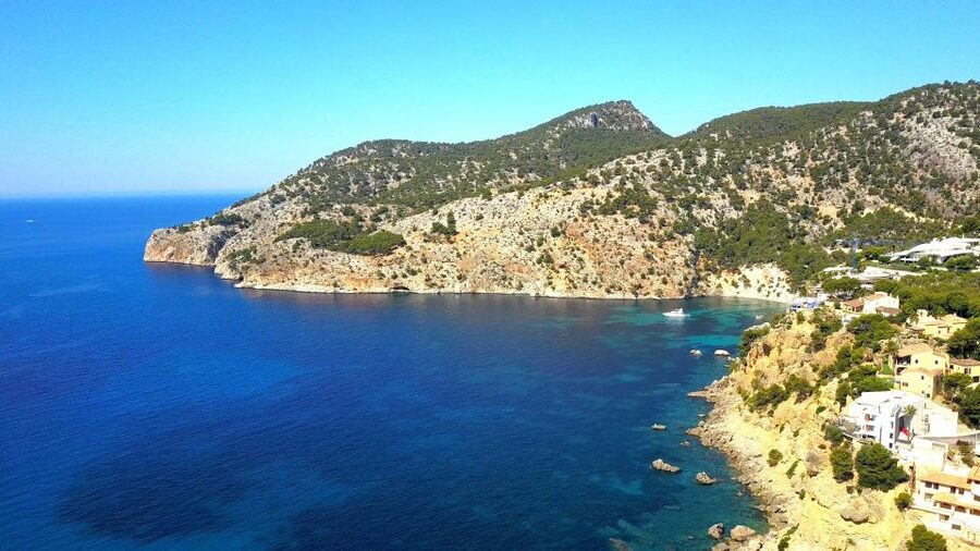 Mallorca: Coastal Cruise to Port of Andratx with swim stop - Cala en Tió cave, if weather allows