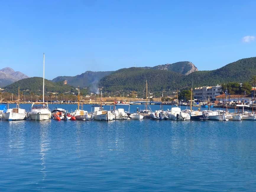 Mallorca: Coastal Cruise to Port of Andratx with swim stop - Forty minutes in Port Andratx