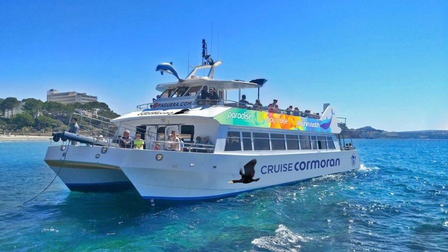 Mallorca: Coastal Cruise to Port of Andratx with swim stop - Timing, comfort, and the small things that matter