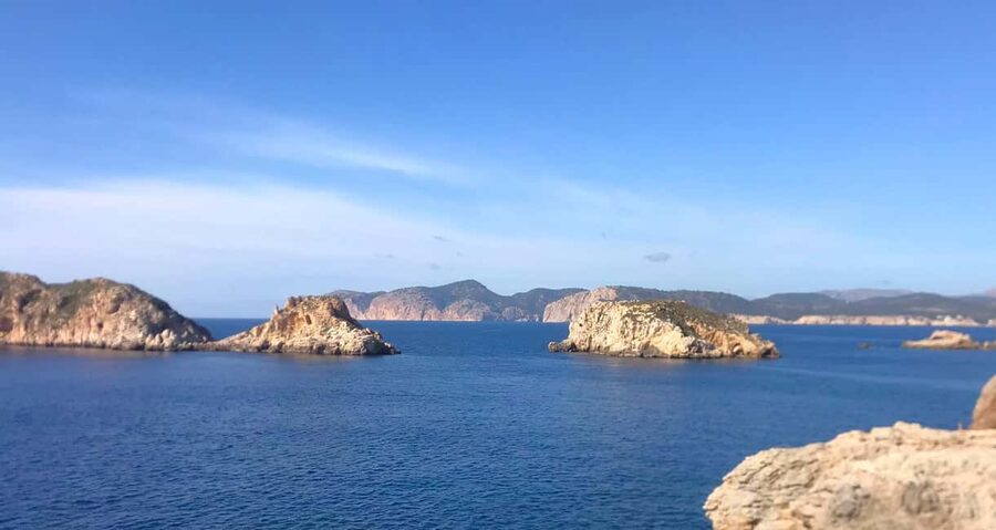 Mallorca: Coastal Cruise to Port of Andratx with swim stop - Who should book this cruise?