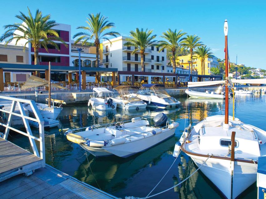 Mallorca: Coastal Cruise to Port of Andratx with swim stop - Swimming from the boat in clear water