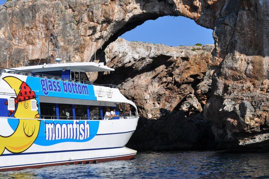Mallorca: Glass-Bottom Catamaran Along the East Coast - What the glass-bottom viewing is really like