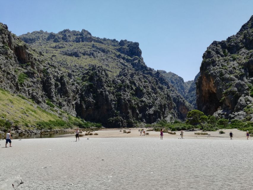 Mallorca: Island Tour with Boat, Train, and Hotel Transfer - Why this Mallorca tour works so well