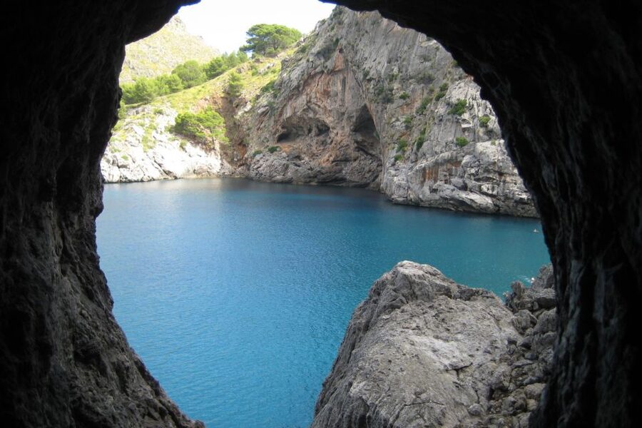 Mallorca: Island Tour with Boat, Train, and Hotel Transfer - The wooden tram through Sóller’s countryside