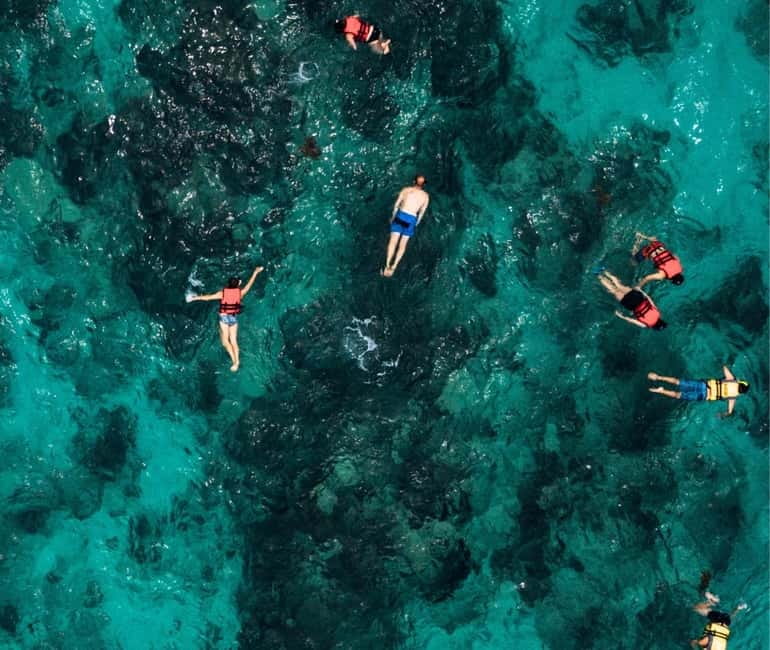 Mallorca: Palma Boat Tour & Snorkeling with Drink Included - Is $46 a fair price?