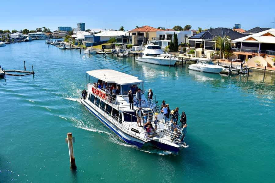 Mandurah: Dolphin and Views Cruise - Why the dolphins are the real draw