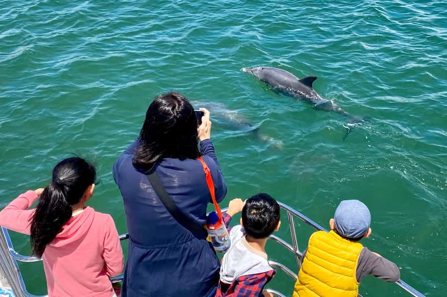 Mandurah: Dolphin and Views Cruise - Family appeal without turning into a theme park