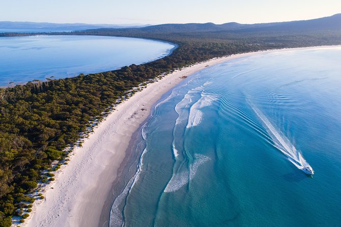 Maria Island Cruise and Guided Walk Day Tour with Lunch and Drinks - From Brooke Street Pier to Triabunna