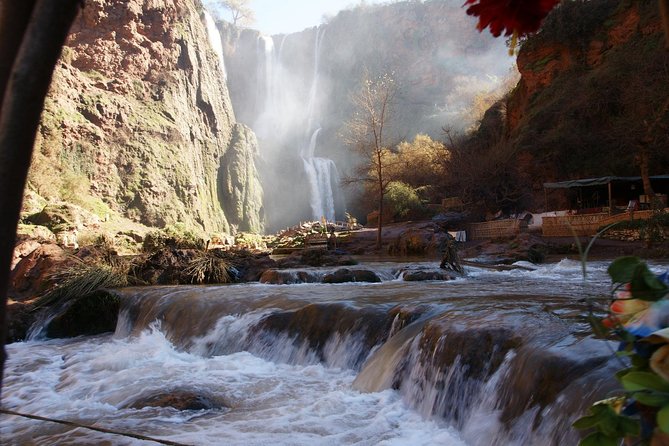 Marrakech: Ouzoud Waterfalls Guided Day Trip with Boat Ride - Barbary macaques and the need for care