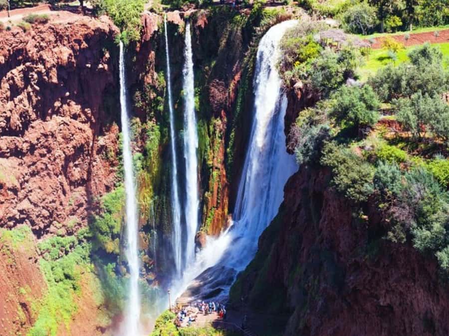 Marrakesh: Ouzoud Waterfalls Trip with Hike & Boat Option - Monkeys, peanuts, and sensible boundaries