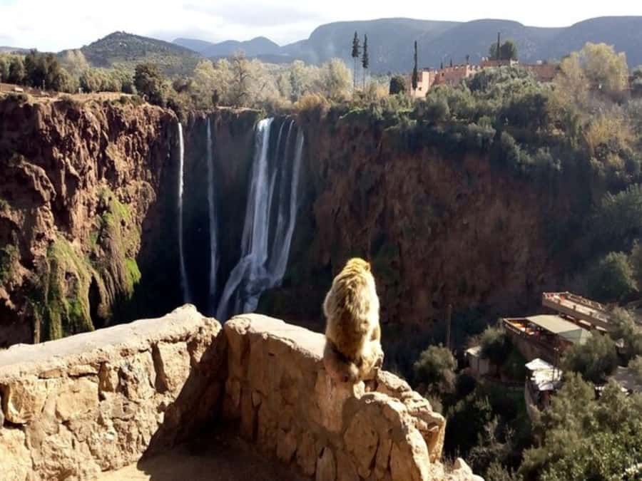 Marrakesh: Ouzoud Waterfalls Trip with Hike & Boat Option - Rain, walking ability, and what to pack