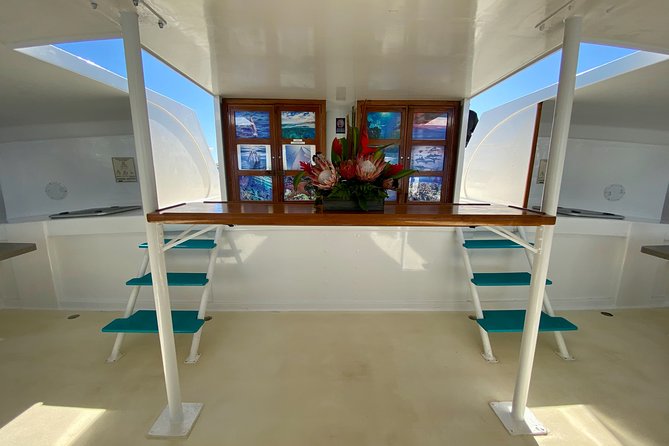 Maui Premium Sunset Dinner Cruise from Ka’anapali Beach - Music, crew, and the mood onboard