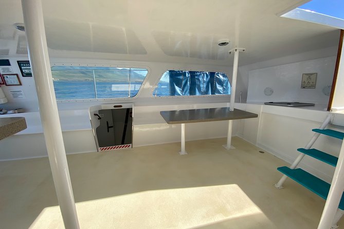 Maui Premium Sunset Dinner Cruise from Ka’anapali Beach - Seating, comfort, and the wet-foot issue