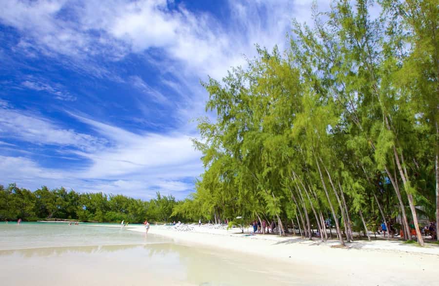 Mauritius: Catamaran Cruise to Ile Aux Cerfs with BBQ Lunch - Starting at Trou d’Eau Douce