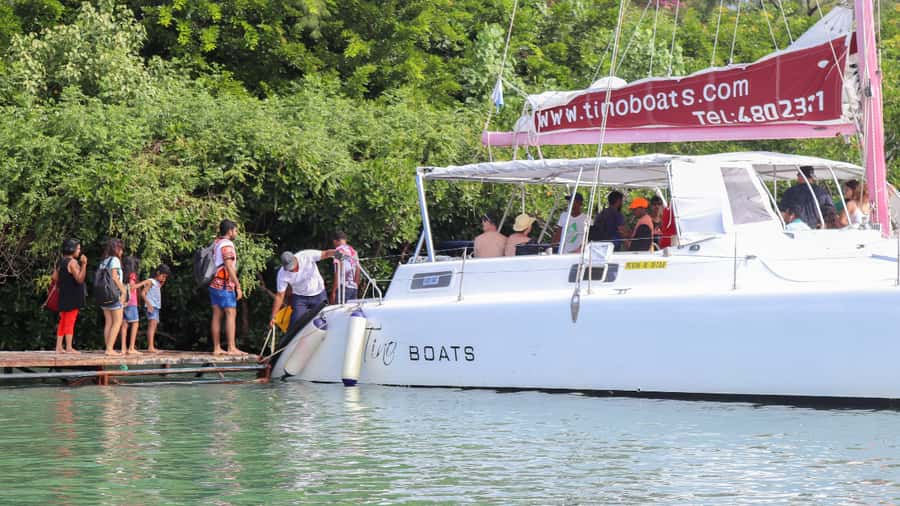 Mauritius: Catamaran Day Cruise to lle aux Cerfs with Lunch - The Grand River South East waterfalls