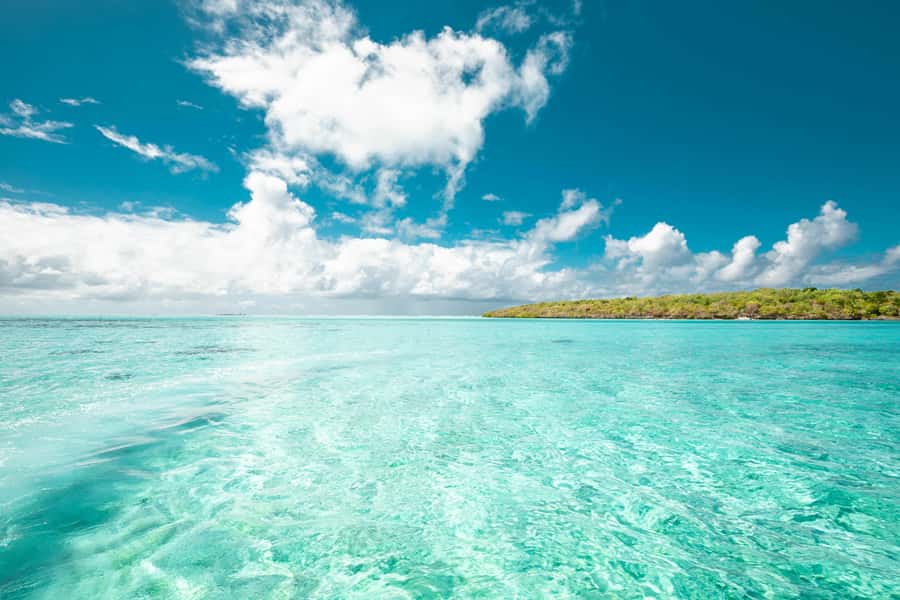 Mauritius: Full-Day Speedboat Tour to Ile aux Cerfs & BBQ - Snorkeling over the southeast reef