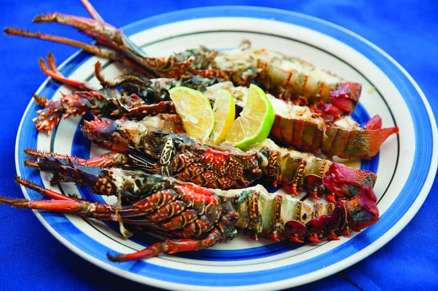 Mauritius: Ile Aux Cerfs Catamaran Trip w/ Lunch & Transfer - Key points to know before booking