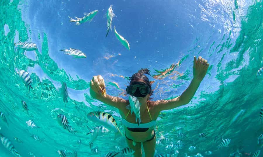 Mauritius: Ile Aux Cerfs Catamaran Trip w/ Lunch & Transfer - A three-course BBQ lunch on board