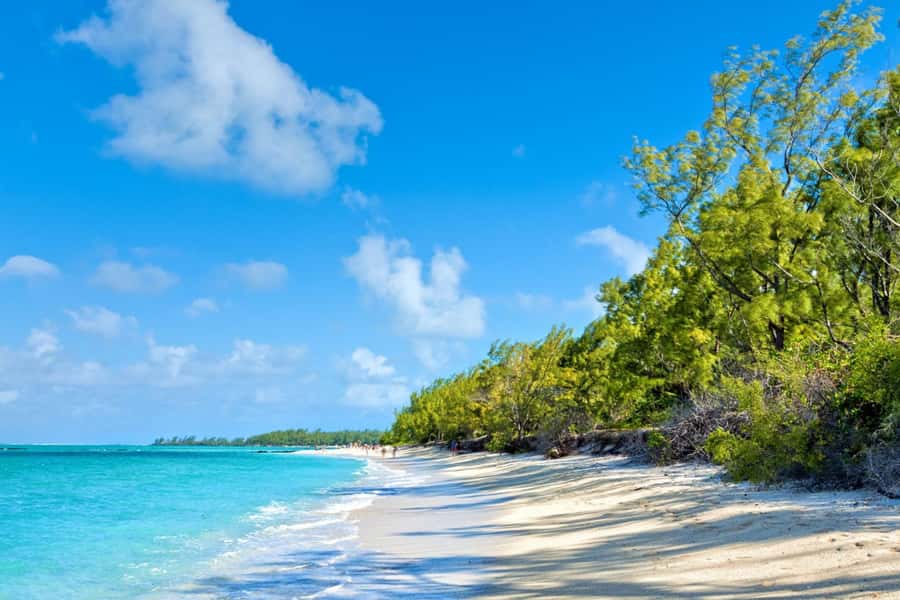 Mauritius: Ile Aux Cerfs Catamaran Trip w/ Lunch & Transfer - Hotel pickup takes the stress out of the morning