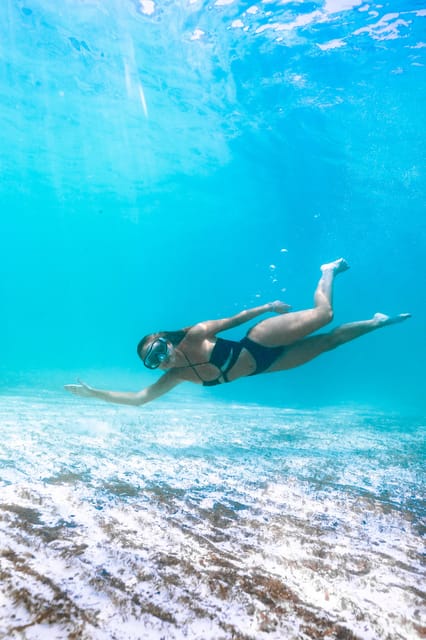 Menorca: Coves and Beaches Boat Trip w/ optional Paella - Practical tips for a smoother day