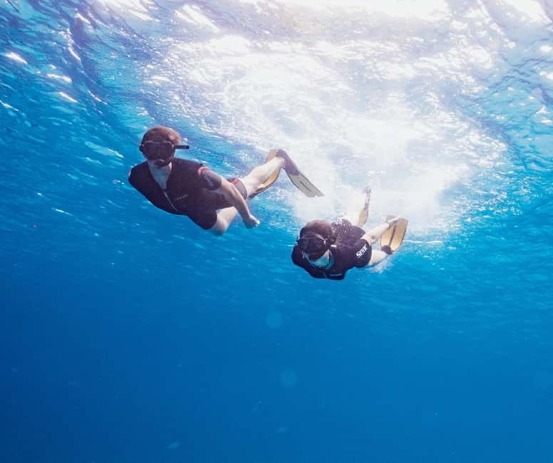 Menorca: Hidden Gems of South Coast Cruise - Daytime cruise or sunset aperitivo