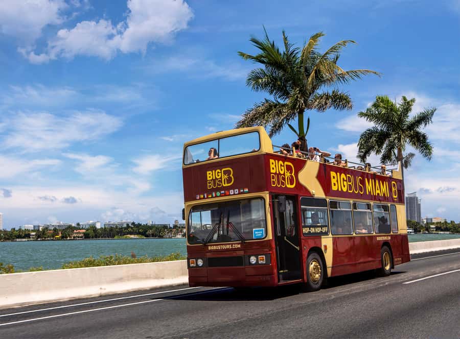 Miami: Everglades Experience, Bay Cruise & Open-Top Bus Tour - Miami from the upper deck
