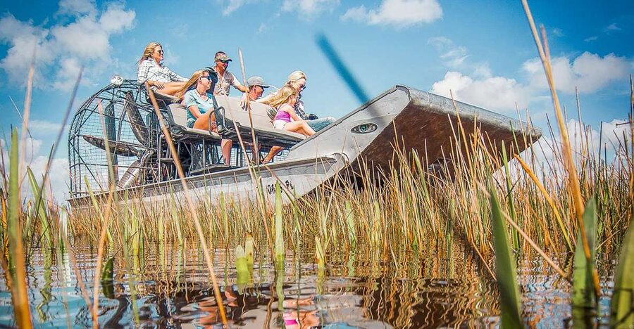 Miami: Everglades National Park Airboat Tour & Wildlife Show - What You Might See in the Marsh