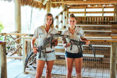 Everglades National Park Airboat Tour & Wildlife Show