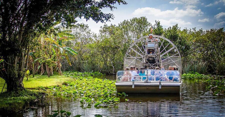 Miami: Everglades Safari Park Airboat Tour - The Wildlife Nature Show after the ride