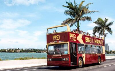 Hop-on Hop-off Open-top Bus Tour and Optional Cruise