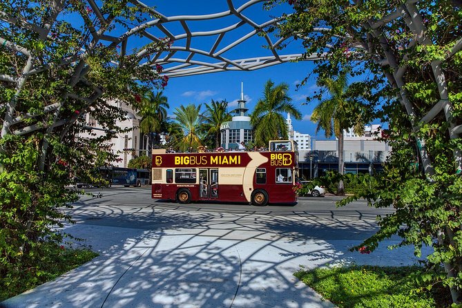 Miami: Hop-on Hop-off Tour + Cruise & Free 1-Hour Bike Rental - Stop 7: Wynwood Walls