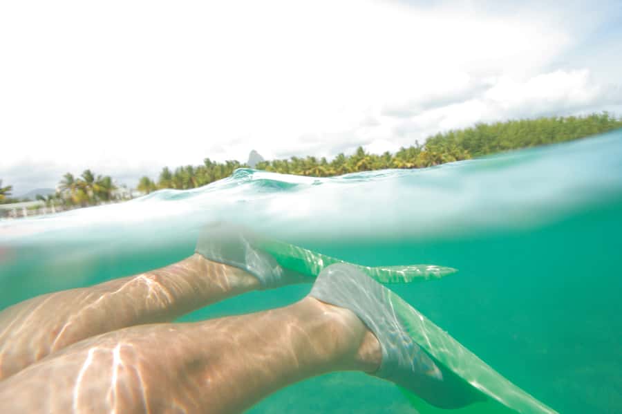 Miami: Key West Dolphin Watch or Snorkel Boat with pickup - What the three-hour snorkel trip is like
