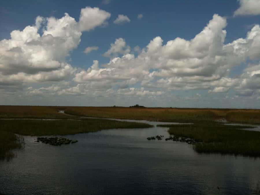 Miami: Original Everglades Airboat Tour & Interpretive area - Jojo, the animal area, and the short presentation