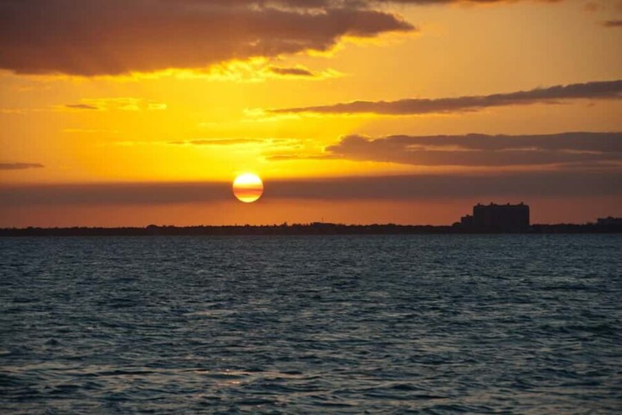 Miami Skyline Sightseeing Cruise and Millionaire Mansions - Key points before you book