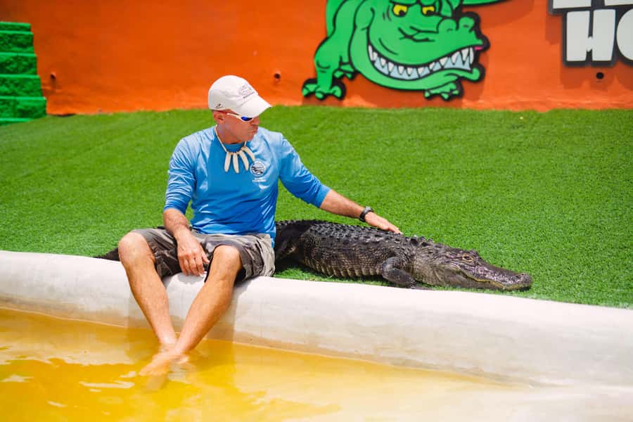Miami: Wild Everglades Airboat Ride and Gator Encounters - Key points to know