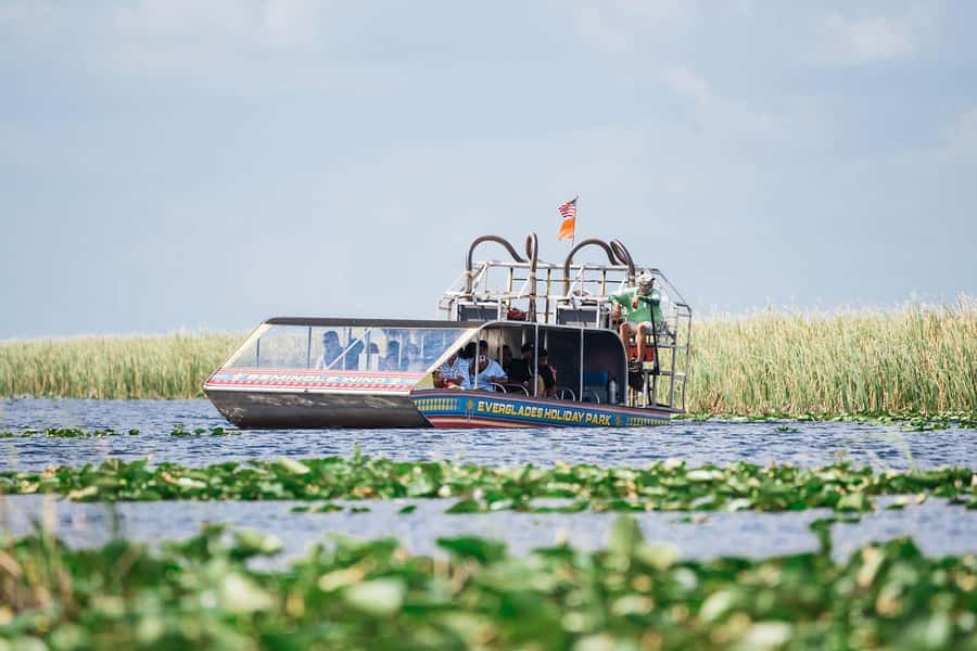 Miami: Wild Everglades Airboat Ride and Gator Encounters - From Miami streets to Everglades water