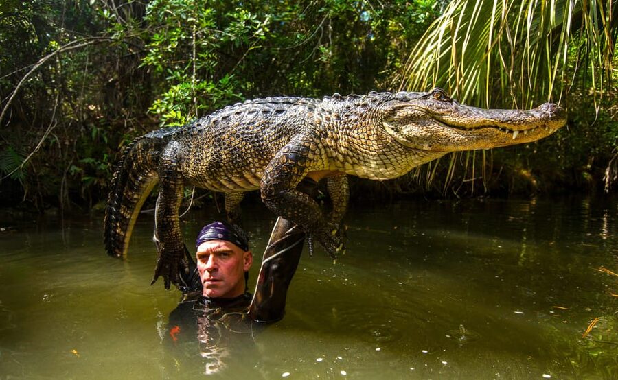 Miami: Wild Everglades Airboat Ride and Gator Encounters - Who will enjoy this outing most