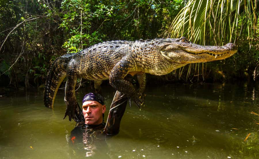 Miami: Wild Everglades Airboat Ride and Gator Encounters - Small details that make the day easier