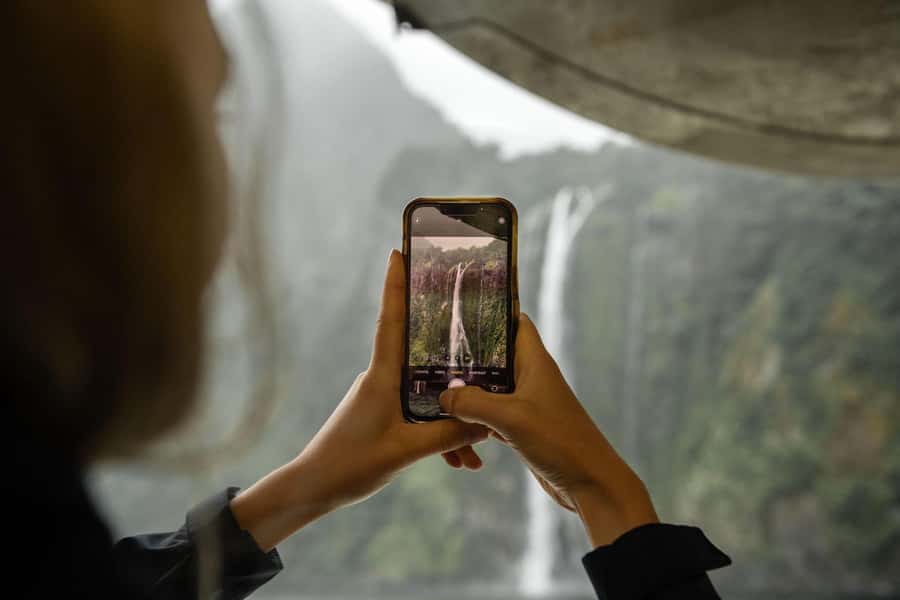Milford Sound: 2-Hour Wildlife & Nature Cruise - A close look at Milford Sound’s cliffs and waterfalls
