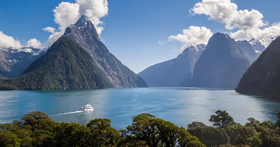 Milford Sound: Boutique Small-Boat Cruise - Check-in, parking, and the day’s timing