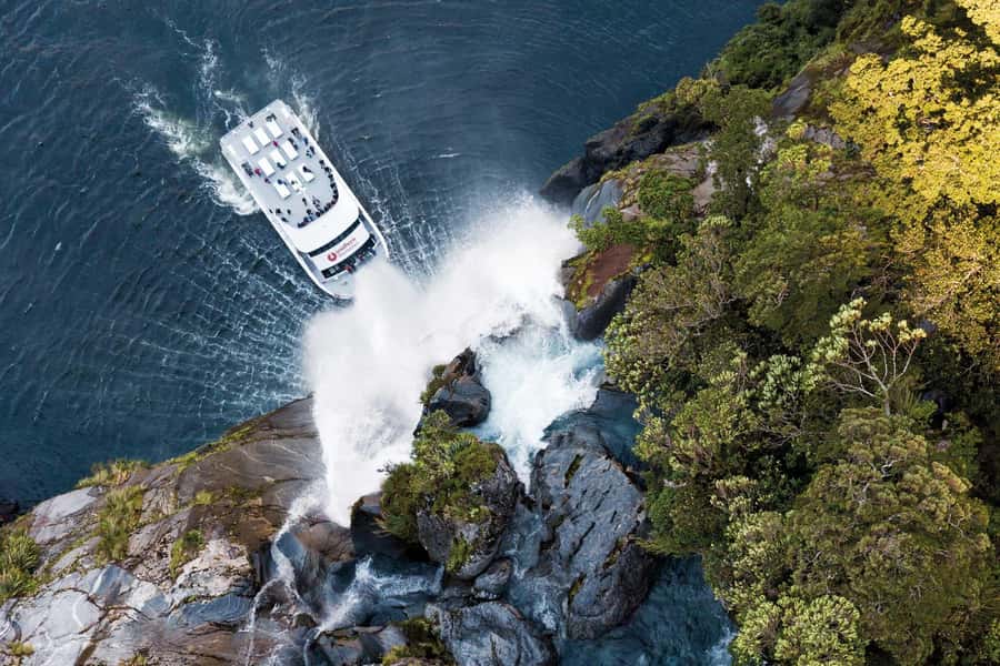 Milford Sound: Nature Cruise - Grand Views & Optional Lunch - Why this Milford Sound cruise works well