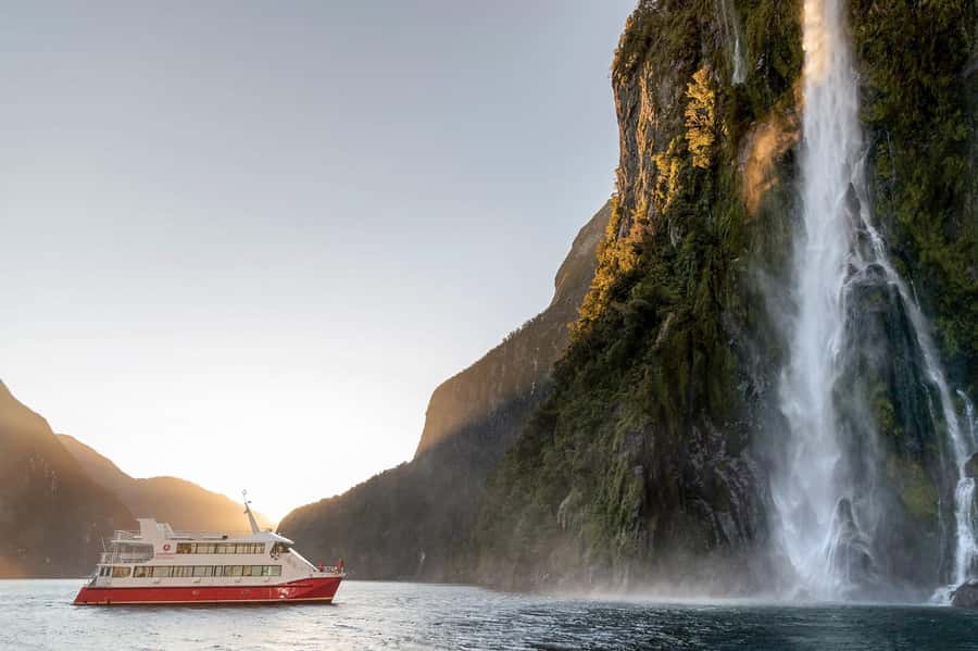 Milford Sound: Nature Cruise - Grand Views & Optional Lunch - Copper Point brings the best wildlife chances