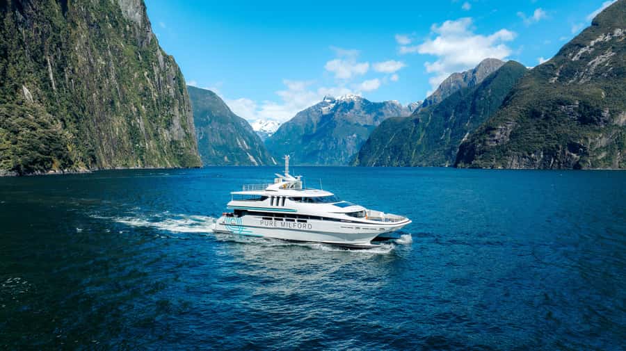 Milford Sound: Nature Cruise on a Modern Catamaran - A catamaran built for Milford Sound viewing