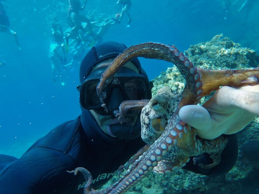 Milos: Half-Day Speedboat Cruise to Klefiko with Snorkeling - Sykia Cave and the limits of the itinerary